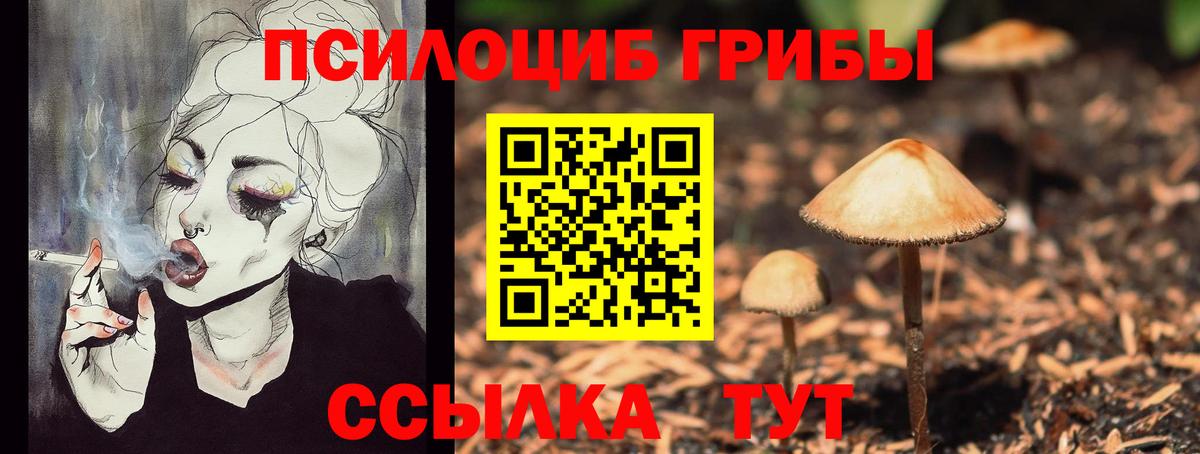 Янаул  где купить наркоту  Вход с VPN  Псилоцибиновые грибы Psilocybe 